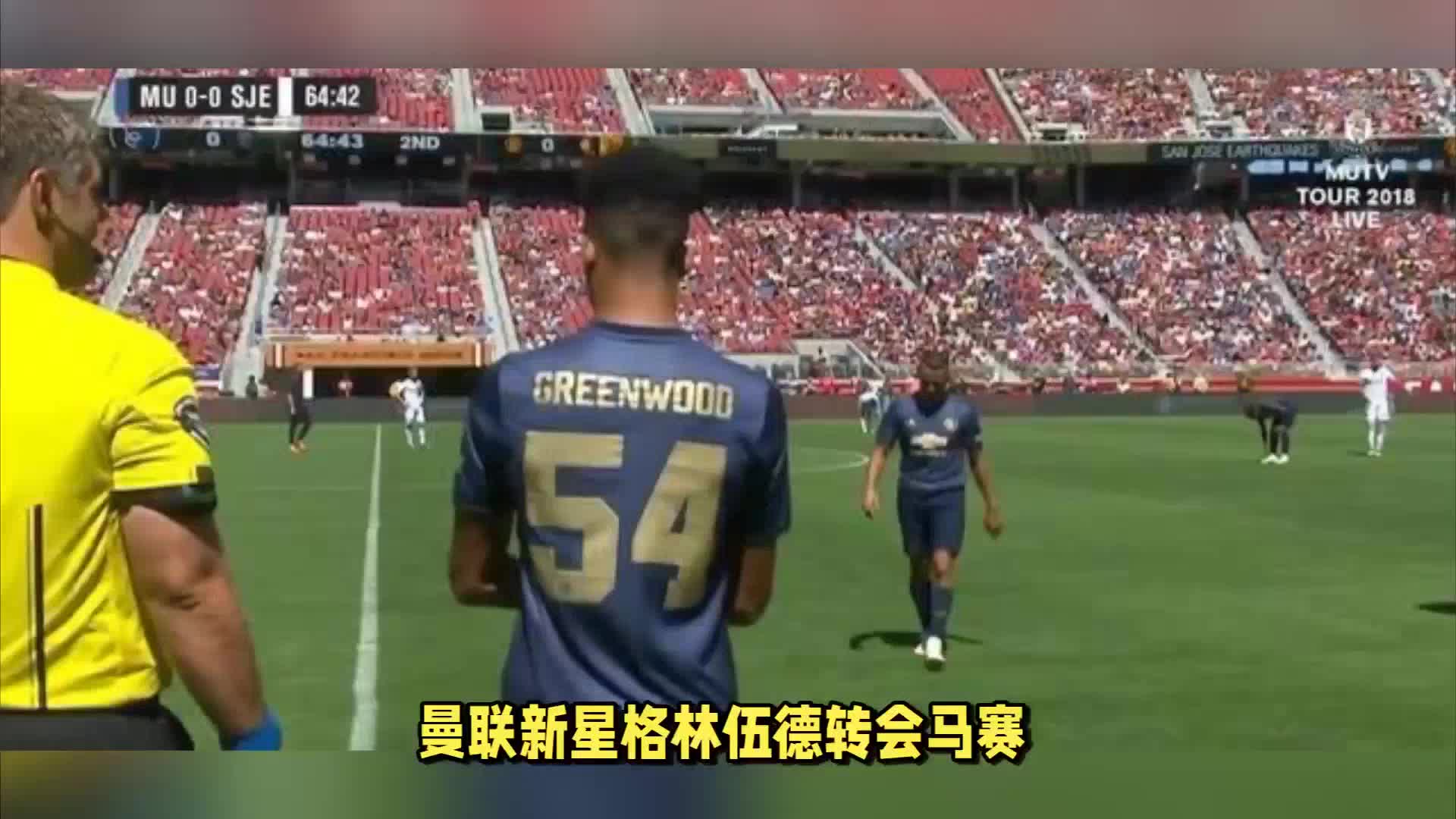 的女篮