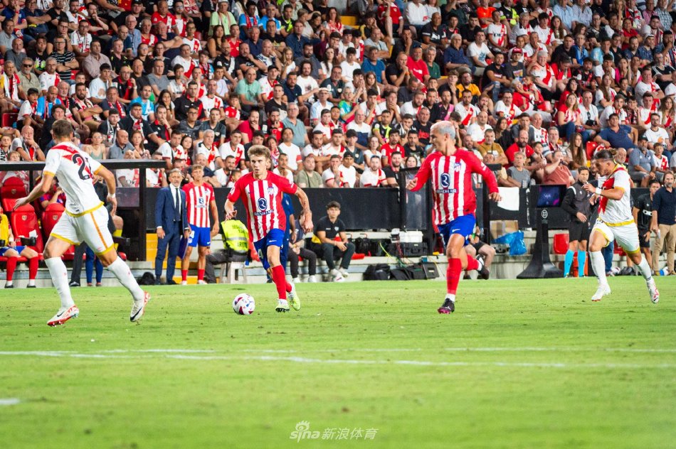 与安赛龙相 与安赛龙相