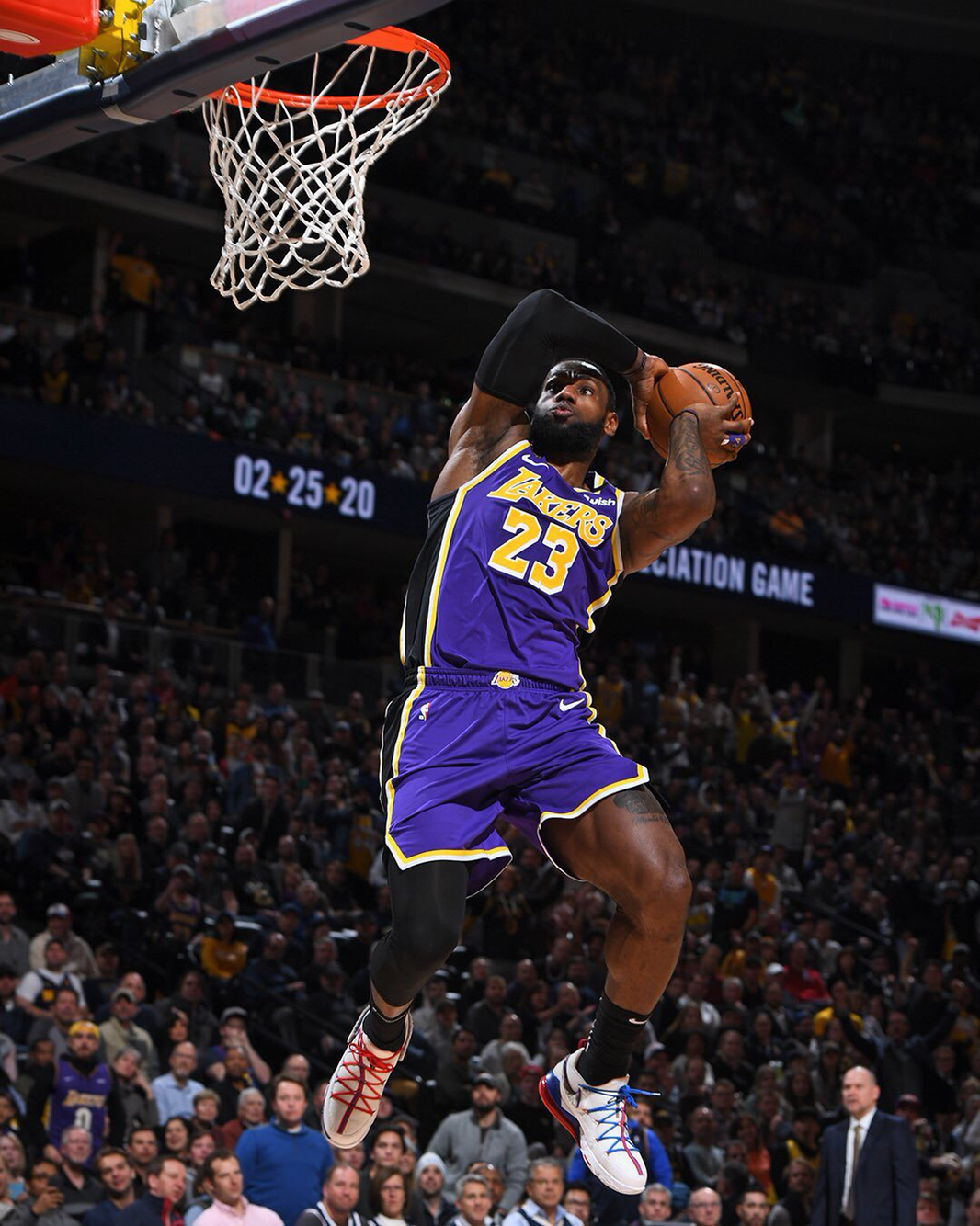 再引进巴莱 再引进巴莱